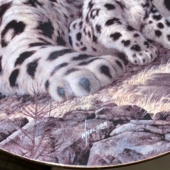 The Snow Leopard Will Nelson Vintage Last of Their Kind Endangered Species Plate - Picture 9 of 13